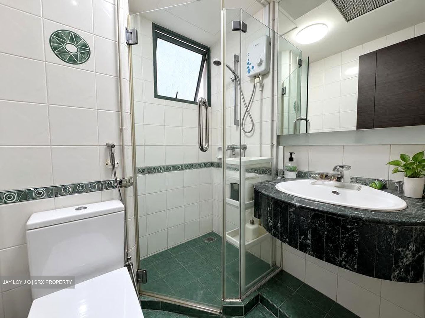 Cassia View (D14), Apartment #625392971